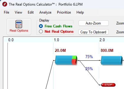 Real Options calculation screenshot